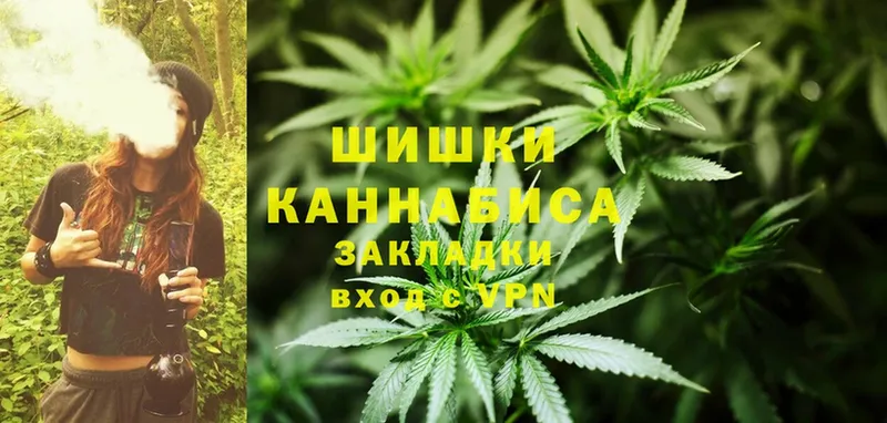 Шишки марихуана Amnesia  цена   Катав-Ивановск 